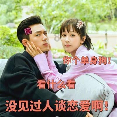 美!美!美!厦门最新赏花地图出炉,快收藏